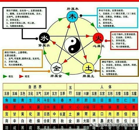 1984金木水火土|五行查询